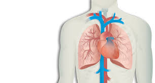 Öýkeniň dowamly obstruktiw keselleriniň bejergisi